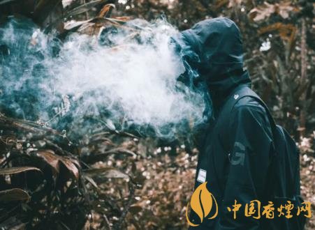 未成年人吸煙有什么危害 青少年吸煙對身體的危害介紹！